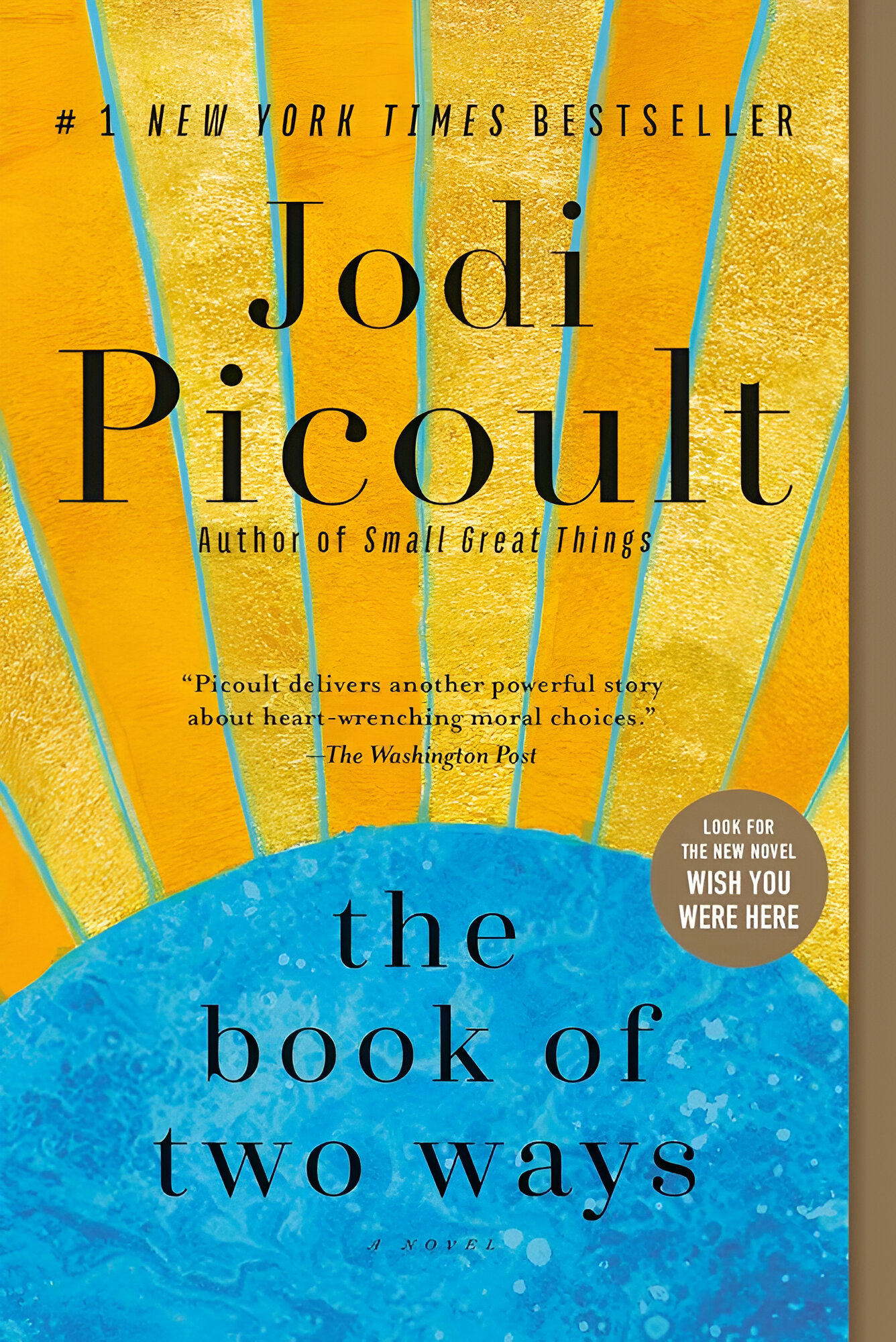 The Book of Two Ways by Jodi Picoult