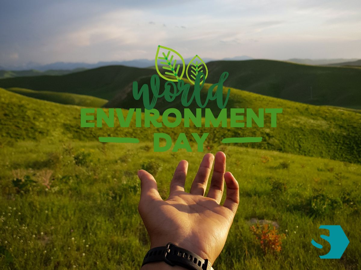 A hand extended towards a lush green landscape with rolling hills under a clear sky. The text "World Environment Day" is overlaid in green with leaf illustrations, symbolizing environmental awareness and action.