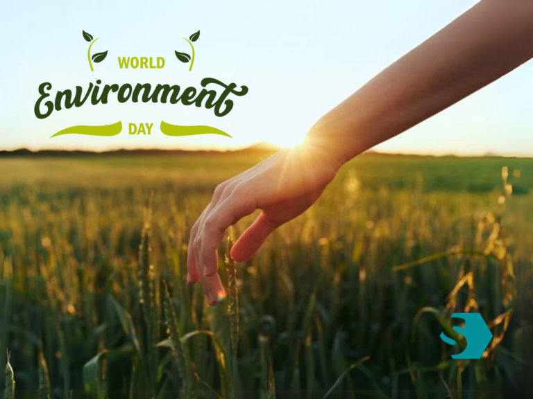 Hand reaching over golden field symbolizing mindful connection with nature for World Environment Day 2025